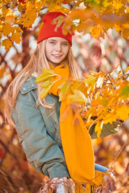 güzel altın sonbahar