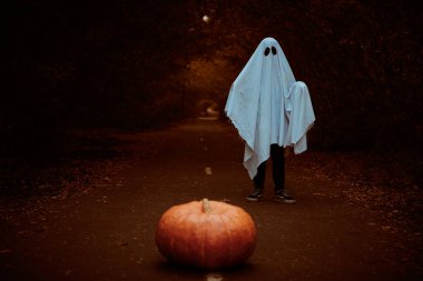 Gece hayalet ziyaretçisi