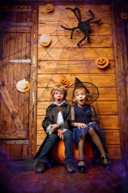 Balkabağının üzerinde oturan iki çocuk.