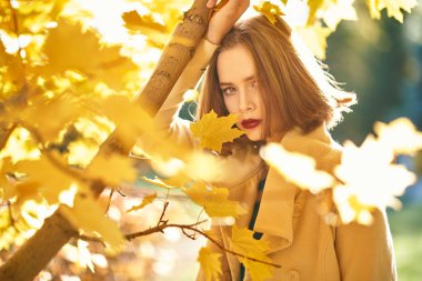 Batan güneş ışınları