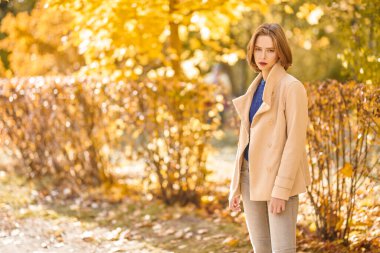 Sonbahar parkında güzel romantik bir kızın portresi. Sonbahar güzelliği, moda.