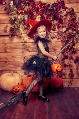 Cadılar Bayramı kutlaması. Cadı kostümü giymiş şirin küçük kız tahta bir arka planda süpürge ve balkabaklarıyla poz veriyor..