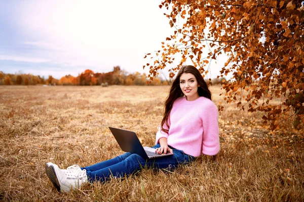 Güzel genç bir kadın kırsal bölgedeki çimlerin üzerinde dizüstü bilgisayarla oturuyor. Yaşam tarzı, sonbahar modası. Doğa ve aletler.