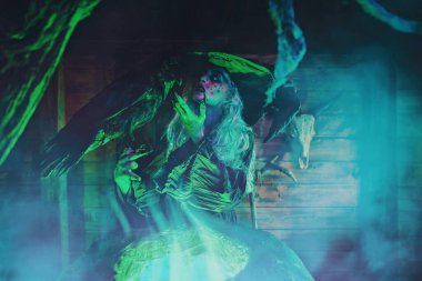 Cadılar Bayramı korku hikayeleri. Korkunç yaşlı bir cadı sihirli bir iksirle kazanın yanında duran kara kuzgunla konuşuyor.. 