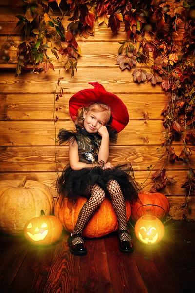 Cadılar Bayramı kutlaması. Cadı kostümü giymiş tatlı, hayalperest küçük kız, ahşap bir arka planda balkabakları ve fenerlerle çevrili duruyor..