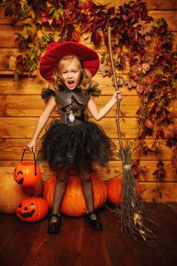 Cadılar Bayramı kutlaması. Cadı kostümü giymiş şirin küçük kız tahta bir arka planda süpürge ve balkabaklarıyla poz veriyor..