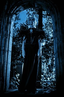 Güzel gri saçları ve mezarlıktaki bir mahzende poz veren zengin siyah elbisesi olan aristokrat bir dul kadın. Kara Dul. Gizemciliğin atmosferi. Cadılar Bayramı.