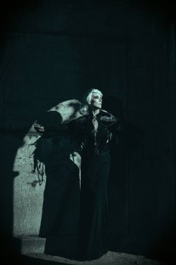 Güzel gri saçlı ve zengin siyah elbiseli aristokrat bir dul kadın mezarlıktaki bir mahzende üzgün duruyor. Kara Dul. Gizemciliğin atmosferi. Cadılar Bayramı.