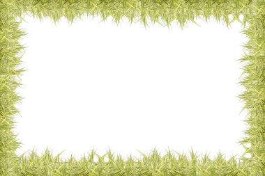 Çerçeve Yaprağı beyaz arkaplanda izole edildi