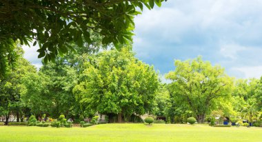 Gökyüzü bulutlu, güzel, yeşil bir park manzarası.