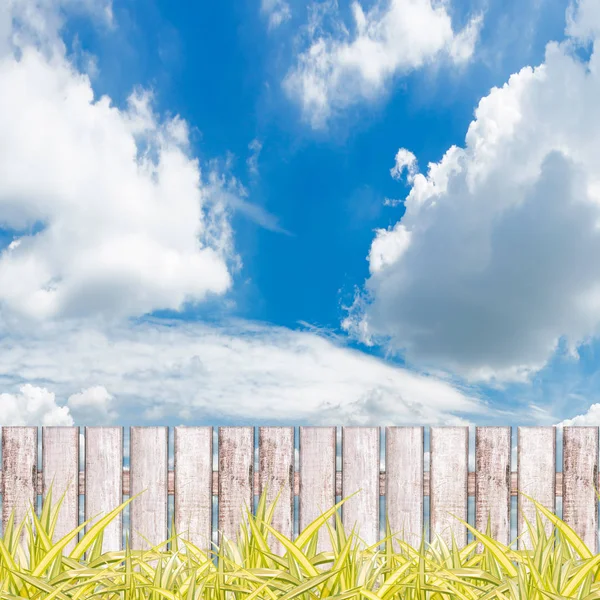 Green Grass Fence Blue Sky Background — Stock Photo, Image