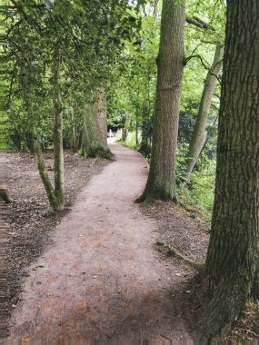 İngiltere İngiltere yürüyüş ülke park