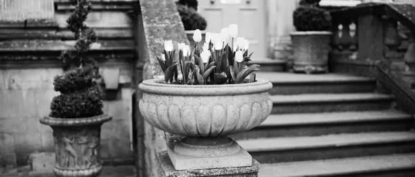 Chipping Campden Village Cotswolds Angleterre Royaume Uni — Photo