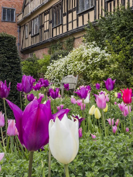 Jardins Formais Uma Casa Imponente Coughton Court Warwickshire Inglaterra — Fotografia de Stock