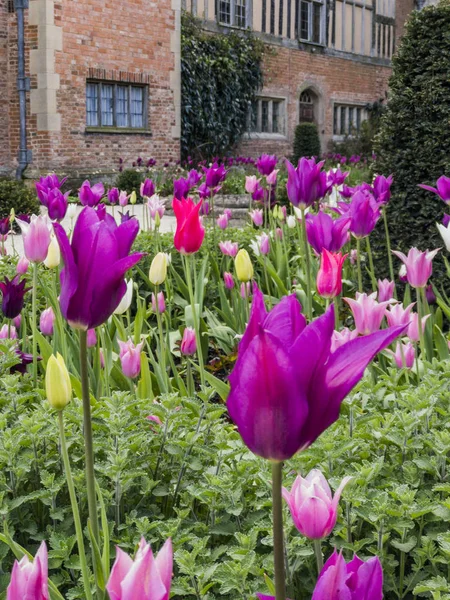 Formella Trädgårdar Ett Ståtligt Hus Coughton Domstolen Warwickshire England Storbritannien — Stockfoto