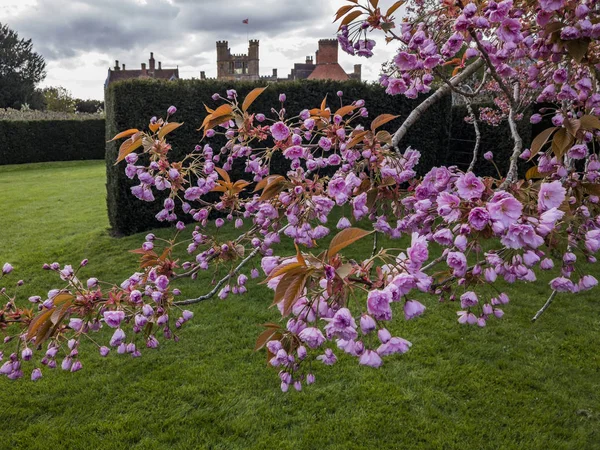 Jardins Formais Uma Casa Imponente Coughton Court Warwickshire Inglaterra — Fotografia de Stock