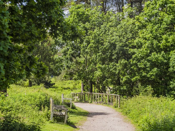 Country Park Promenader England Storbritannien — Stockfoto