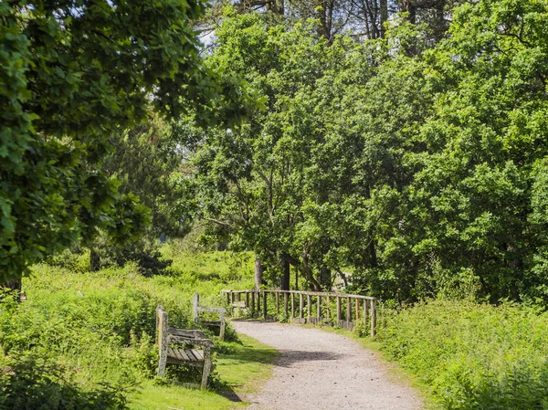 Country Park Spaceru Anglia — Zdjęcie stockowe