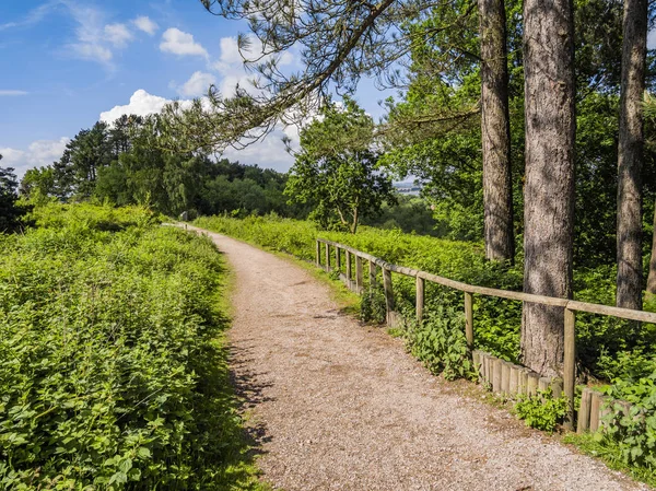 Země Park Chůzi Anglie Velká Británie — Stock fotografie