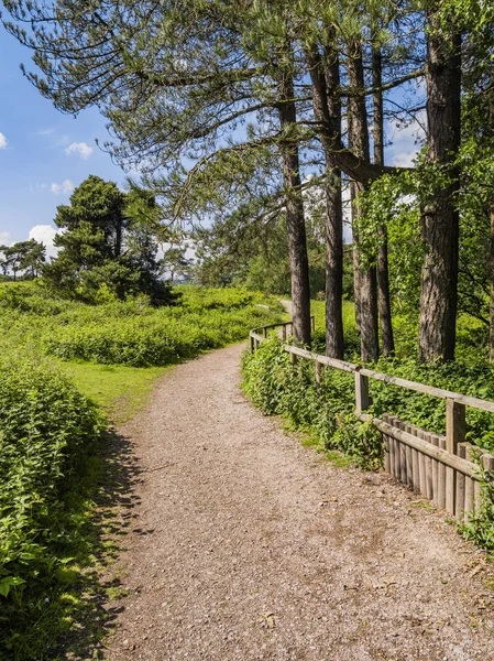 Country Park Walking England — Stock Photo, Image