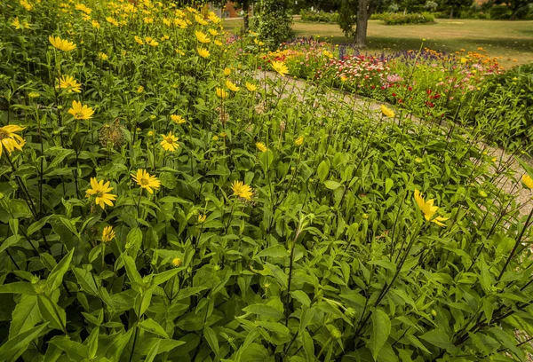 Английский Загородный Сад Цветами Величественного Дома — стоковое фото