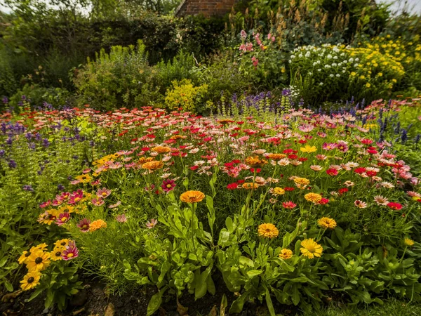 Englischer Landhausgarten Mit Blumen Des Stattlichen Hauses — Stockfoto