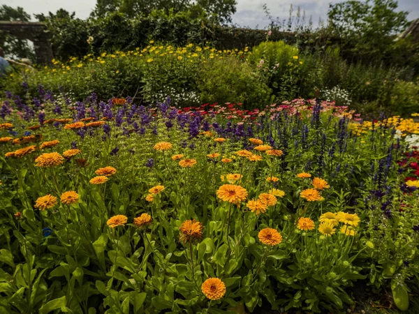 Cottage Inglese Giardino Con Fiori Casa Signorile — Foto Stock