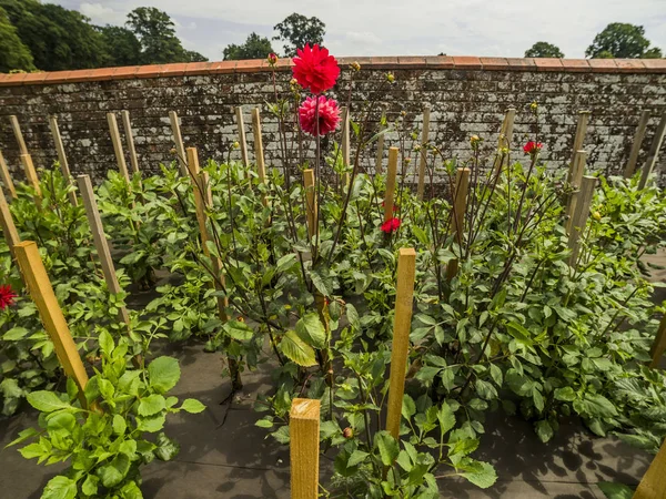English country cottage garden with flowers of stately home — Stock Image English Country Cottage Garden Flowers Stately Home Royalty Free Stock Images