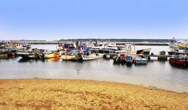 Poole Harbour Dorset England — Stock Photo, Image