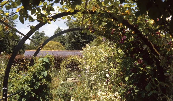 Jardins Anglais Majestueux Maison — Photo