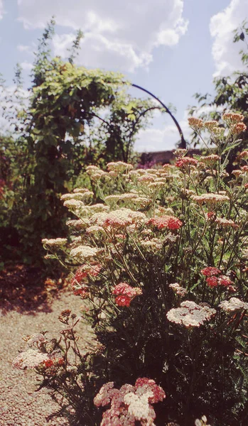 Jardins Anglais Majestueux Maison — Photo