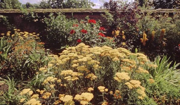 英語の風格のある家の英国の庭園 — ストック写真