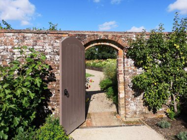 yemyeşil yeşil İngilizce yaz yazlık bahçe arka bahçesinde 