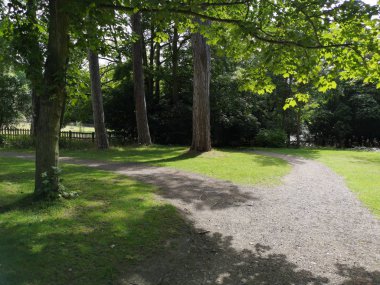 Orman patika yeşil yemyeşil doğanın yolu