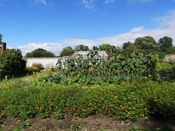 英国乡村小屋花园 鲜花庄严的家 — 图库照片