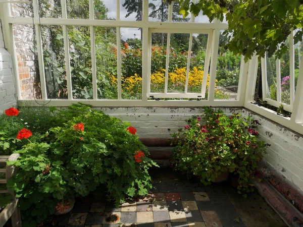 郁郁葱葱的绿色英语夏日小屋花园后院 — 图库照片