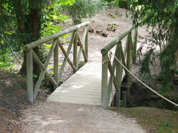 Trilha Florestal Verde Exuberante Caminho Natureza — Fotografia de Stock