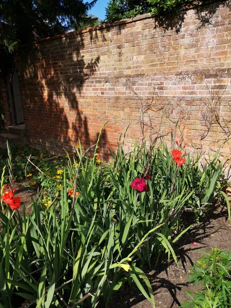 Englischer Landhausgarten Mit Blumen Des Stattlichen Hauses — Stockfoto