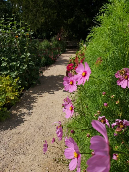 Englischer Landhausgarten Mit Blumen Des Stattlichen Hauses — Stockfoto