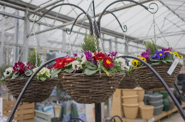 Garden Centre Farm Shop Warwickshire England Gardening Flowers Plants Food — Stock Photo, Image