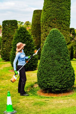 kadın kesme çit çiçek Packwood'u ev warwickshire İngiltere İngiltere