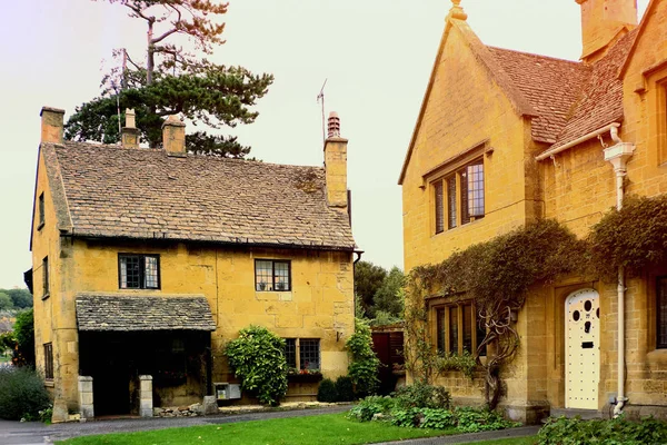 Jardin Verdoyant Arrière Cour Luxuriante Chalet Dans Les Cotswolds Anglais — Photo