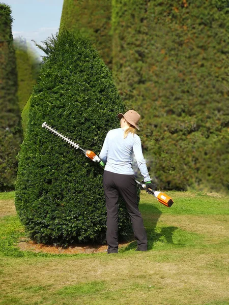 Kobieta Przycinanie Żywopłotu Topiary Packwood Dom Warwickshire Anglia — Zdjęcie stockowe