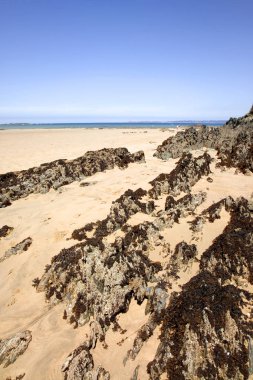 gündüz, Fransa, kayalık sahil şeridi görünümü 