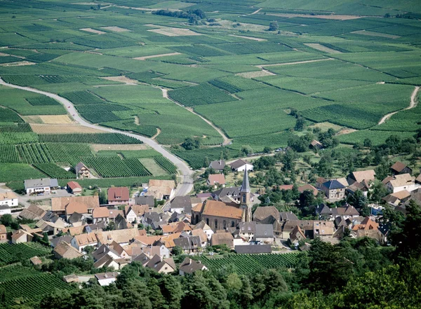 Route Des Vins Alsace Franciaország — Stock Fotó