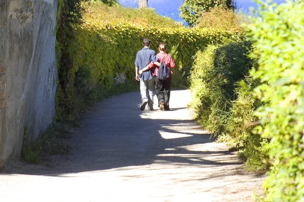 People Walking Tunnel Made Bushes Daytime France — Stock Photo, Image