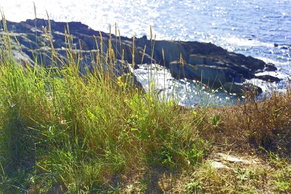 França Finistere Amorique Costa Férias Férias Destino Viagem Europa — Fotografia de Stock