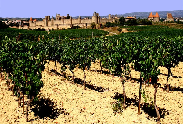 风景在葡萄园与卡尔卡松城堡在背景 — 图库照片
