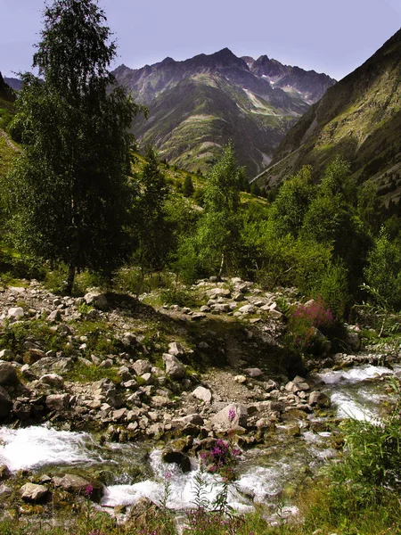 Francia Alpes Champsaur Provenzal Cerca Boquete —  Fotos de Stock