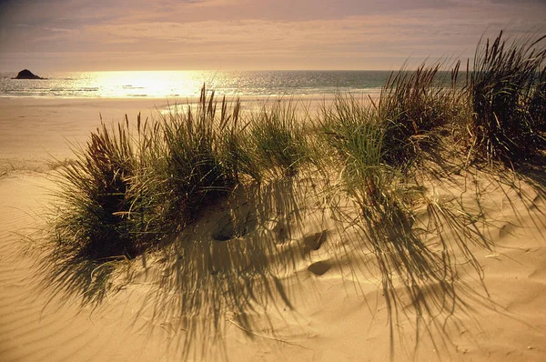 青空の背景に海の波と空の砂浜 — ストック写真